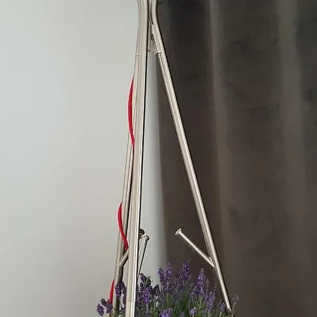 Cicha 14 *